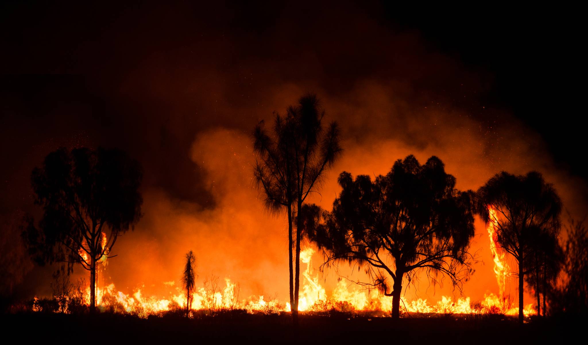 Australian Bushfire crisis shows the persuasive power of big numbers