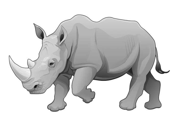 White Paper: Rhinos and risk assessments: Adjusting risk assessment methodologies to account for ‘unforeseeable’ events - Image 2