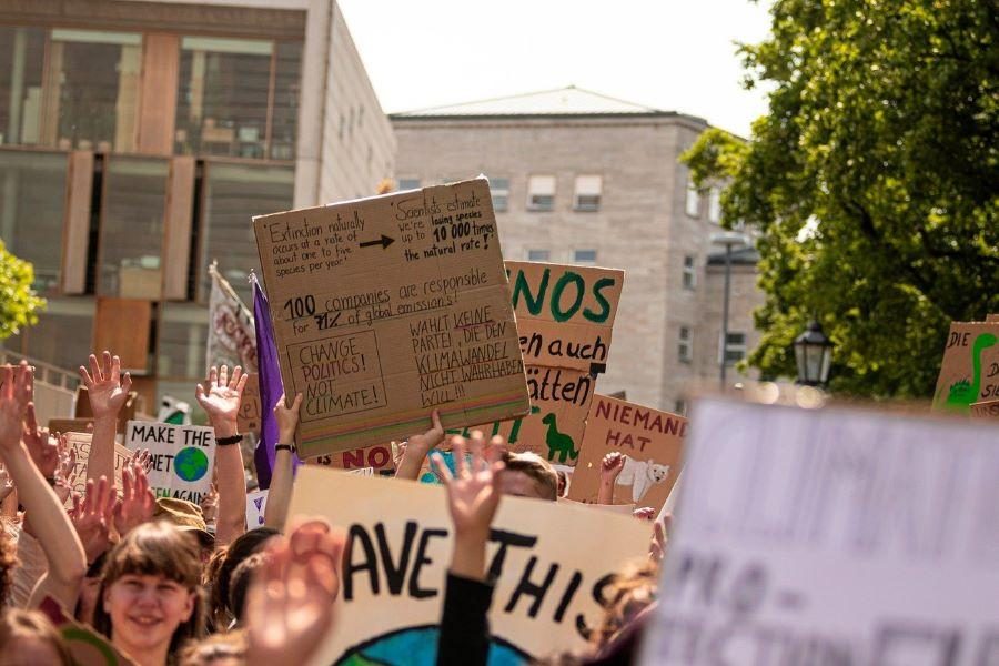 protesters-rothstein-publishing